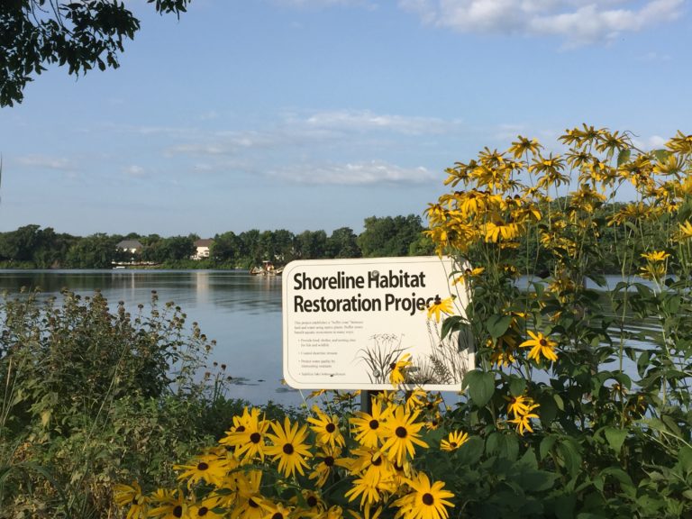 shoreline-restoration-rain-garden-rebates-mitchell-lake-association